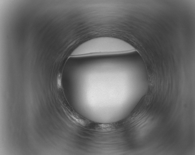 X0000068270095200604210951