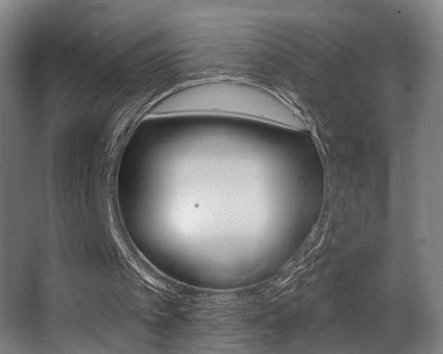 X0000068270097200604210951