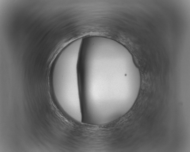 X0000068270098200604210951