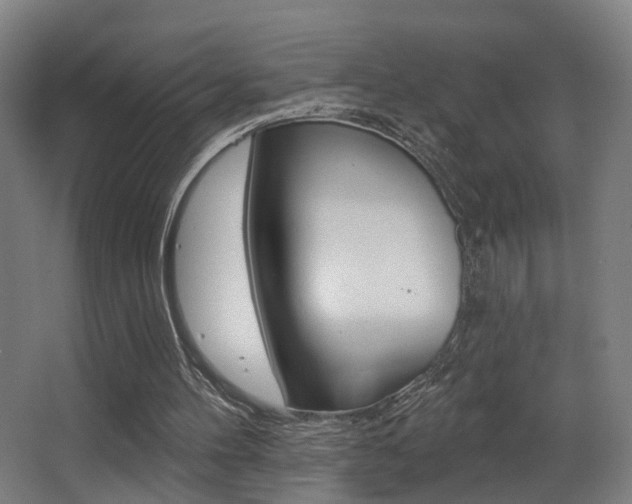 X0000068270100200604210951