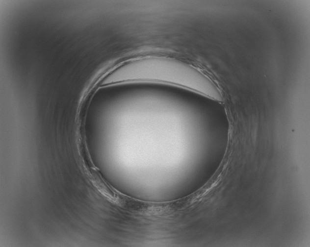 X0000068270101200604210950