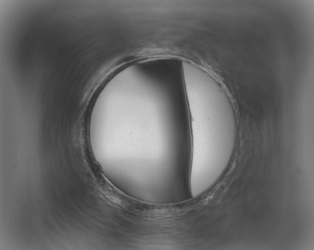 X0000068270103200604210950