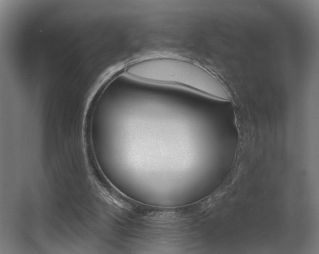 X0000068270104200604210950