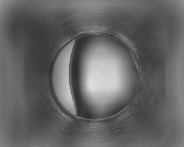 X0000068270105200604210950