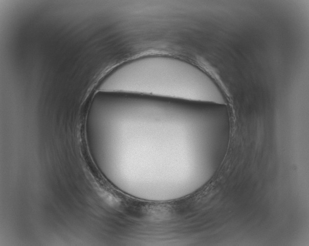 X0000068270106200604210950