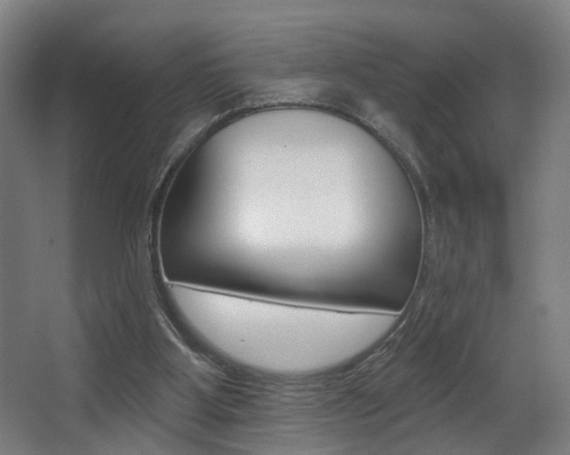 X0000068270107200604210950