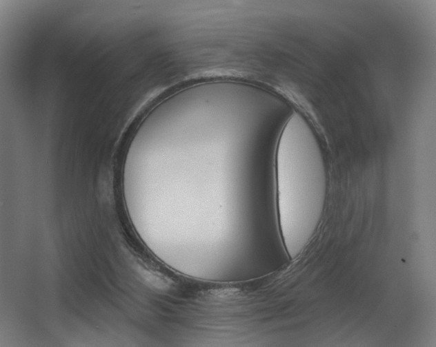 X0000068270108200604210950