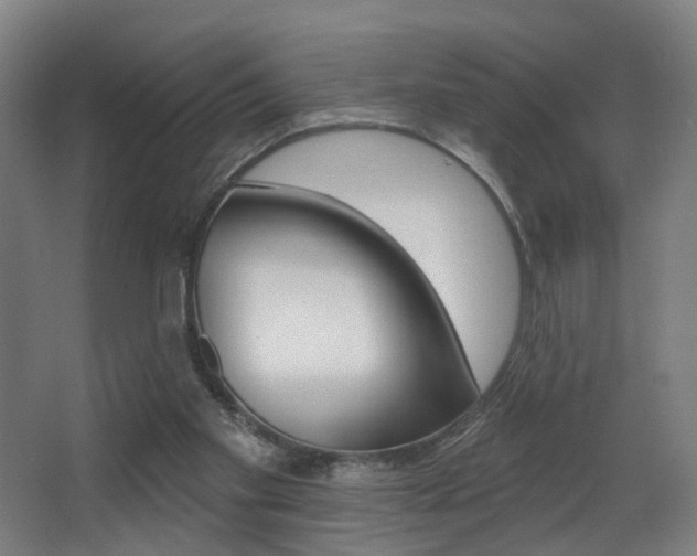 X0000068270109200604210950