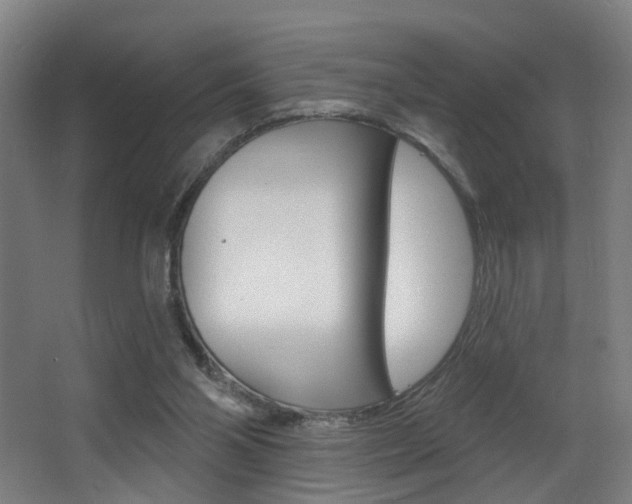 X0000068270110200604210950