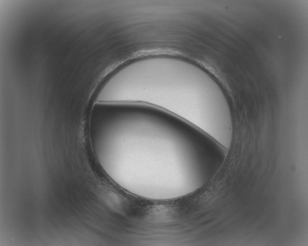 X0000068270111200604210950