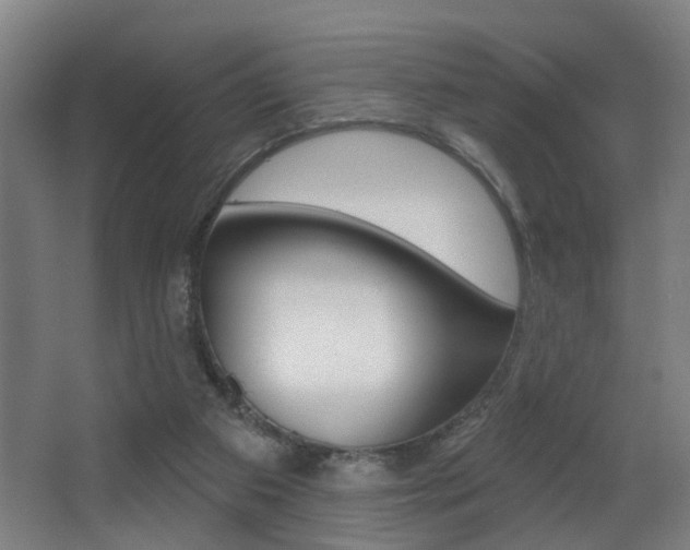 X0000068270113200604210950