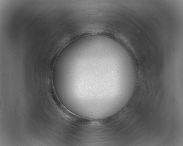 X0000068270114200604210950