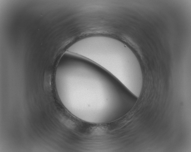 X0000068270115200604210950