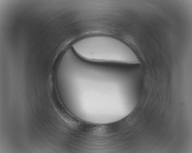 X0000068270116200604210950