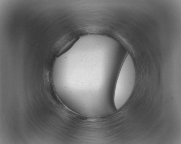 X0000068270117200604210950