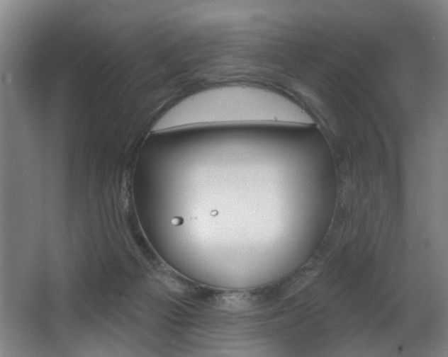 X0000068270121200604210950