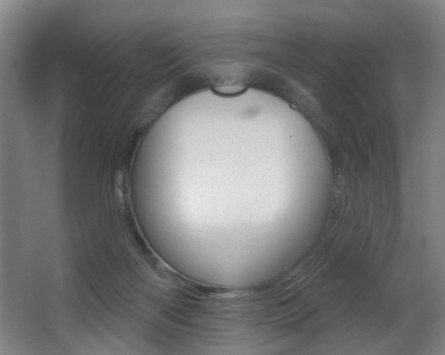 X0000068270122200604210950