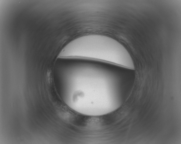 X0000068270123200604210950