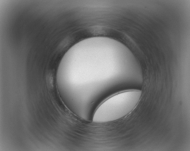 X0000068270124200604210950