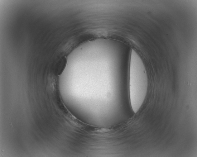 X0000068270125200604210950