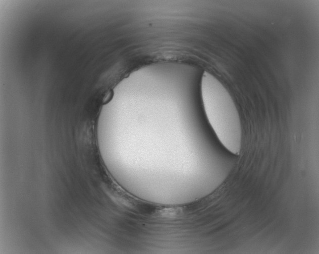 X0000068270126200604210950