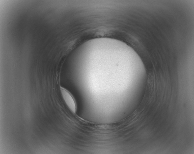 X0000068270127200604210950