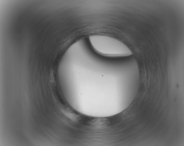 X0000068270128200604210950