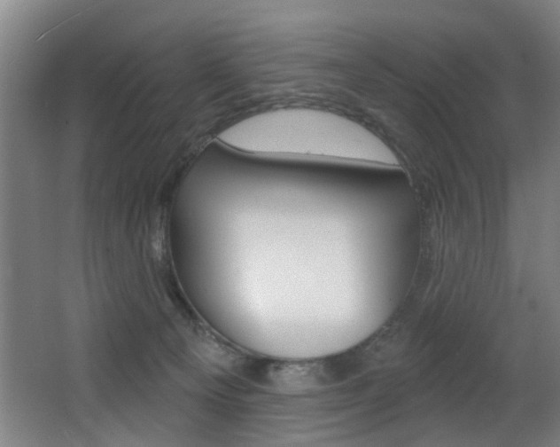 X0000068270129200604210950