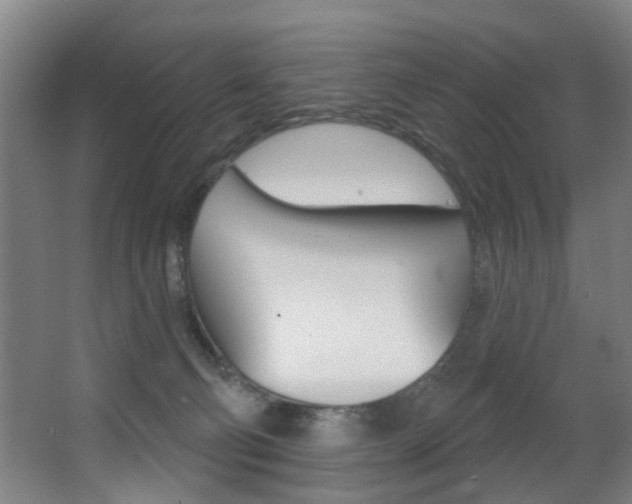 X0000068270130200604210950