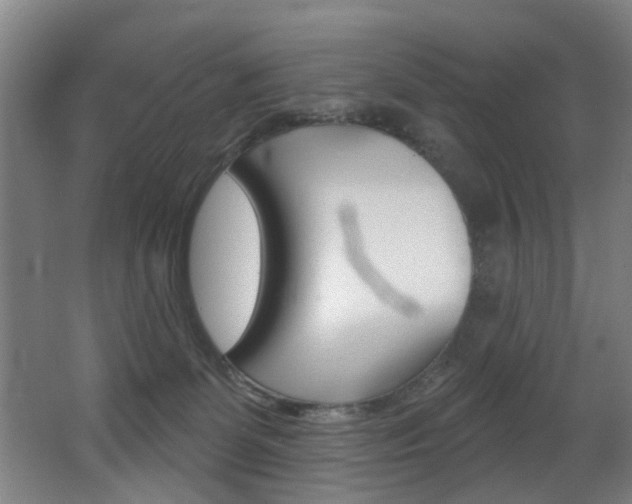 X0000068270131200604210950