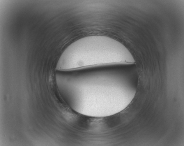 X0000068270132200604210950