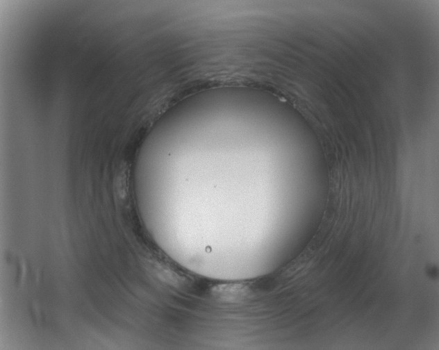 X0000068270133200604210950