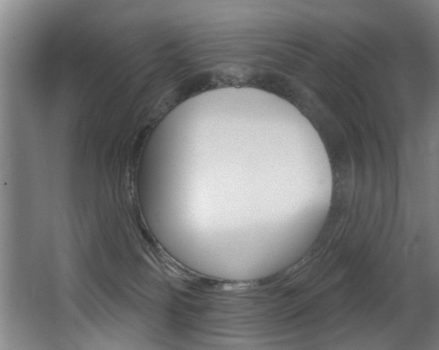 X0000068270134200604210950