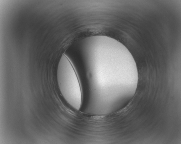 X0000068270136200604210950