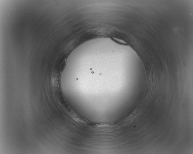 X0000068270137200604210950