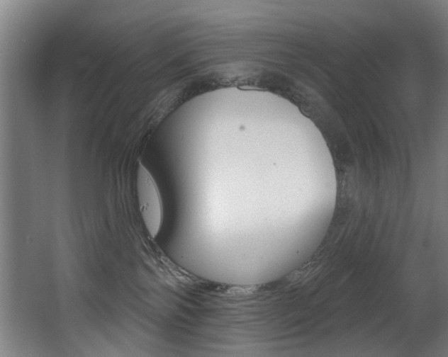 X0000068270138200604210950