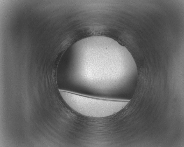 X0000068270139200604210950