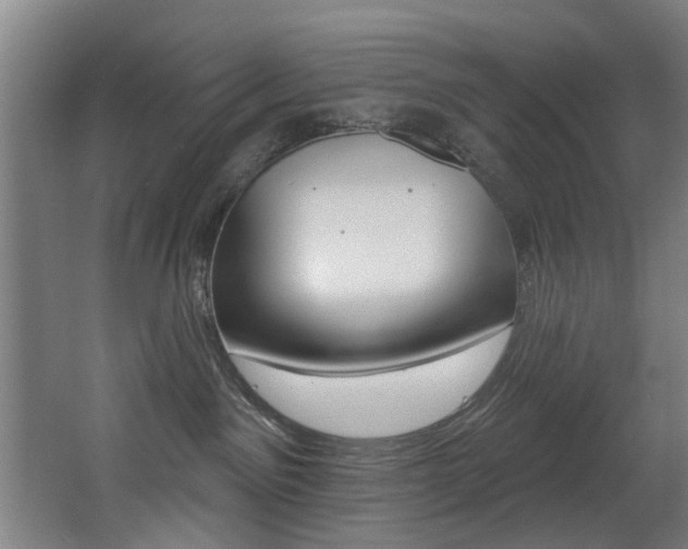 X0000068270141200604210950