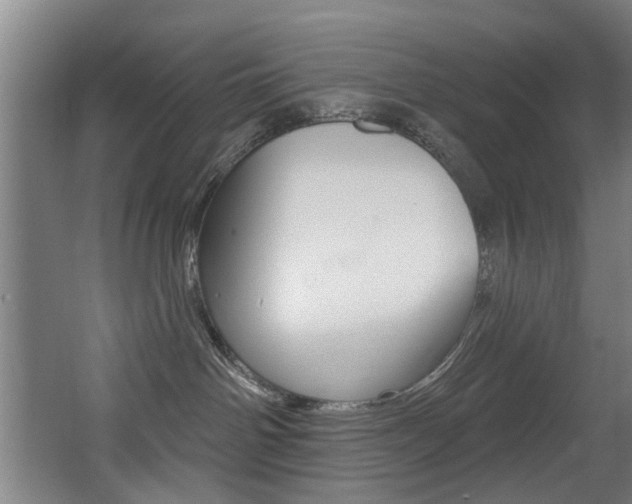 X0000068270142200604210950