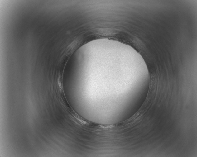 X0000068270143200604210950