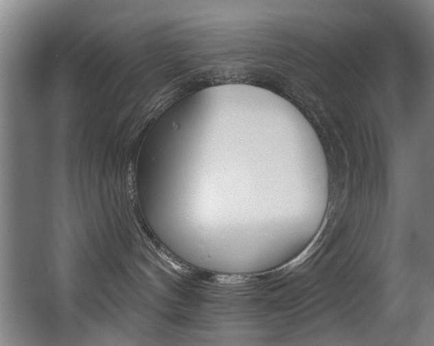 X0000068270144200604210950