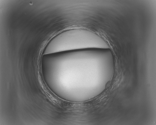 X0000068270145200604210949