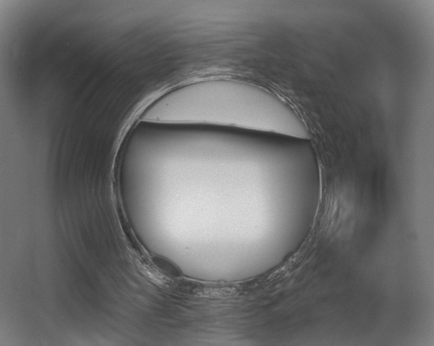 X0000068270147200604210949