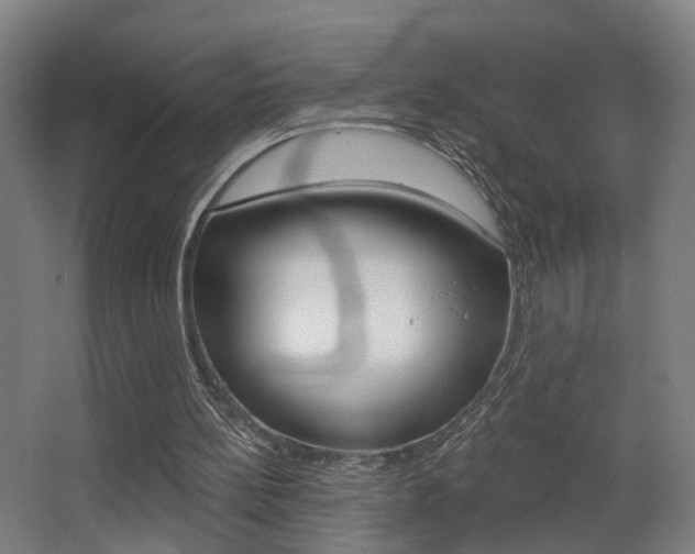 X0000068270148200604210949