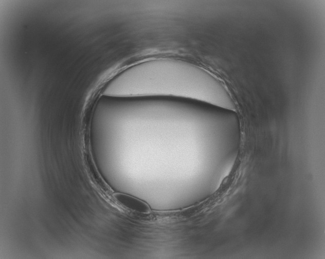 X0000068270149200604210949