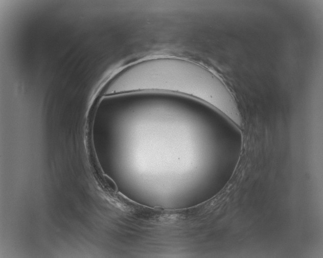 X0000068270152200604210949