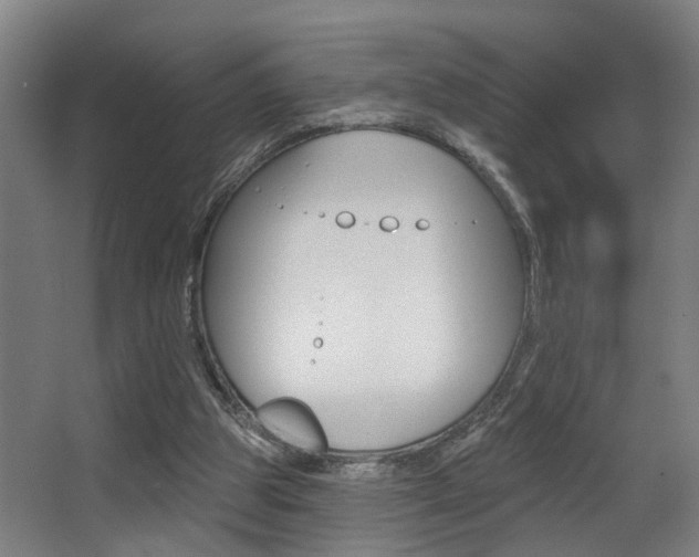 X0000068270153200604210949