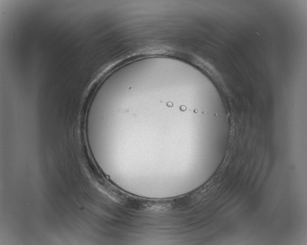 X0000068270155200604210949