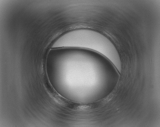 X0000068270158200604210949