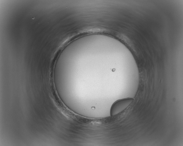 X0000068270159200604210949